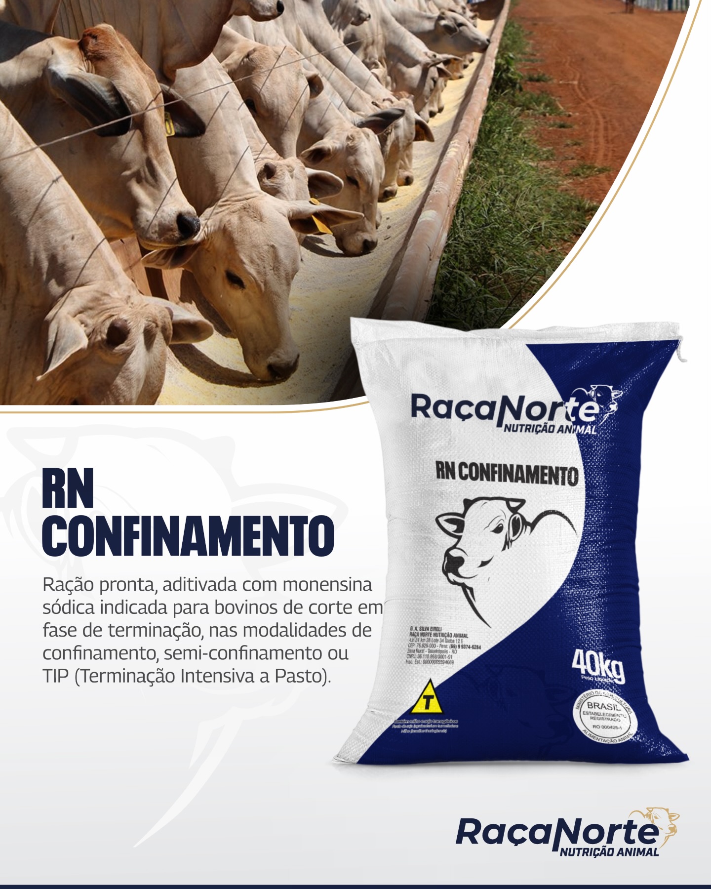 Rebanho em sistema de confinamento