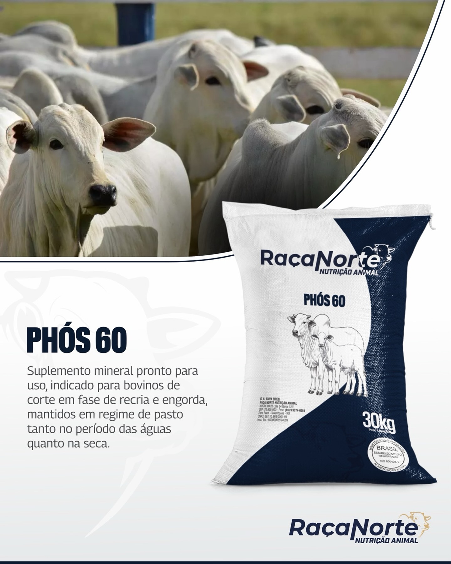 Produto PHÓS 60 da Raça Norte